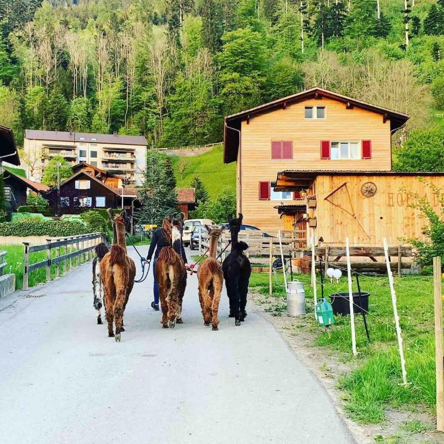 Jurte Beim Lama- & Alpakahof Triesenberg Ξενοδοχείο Εξωτερικό φωτογραφία