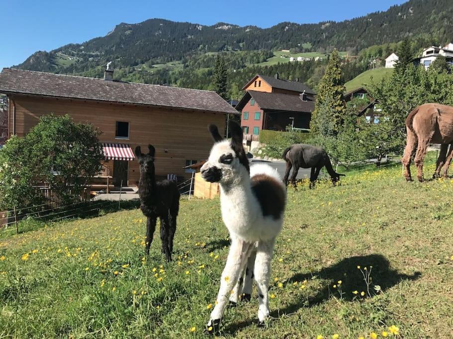 Jurte Beim Lama- & Alpakahof Triesenberg Ξενοδοχείο Εξωτερικό φωτογραφία